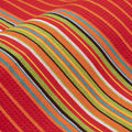 Salsa Stripe Kitchen Towels