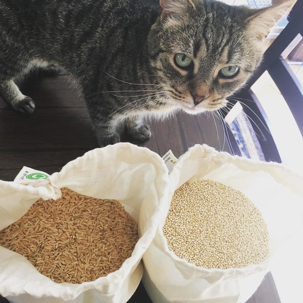 organic cotton produce bags wholesale