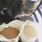 organic cotton produce bags wholesale